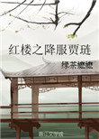 秦雨老旺103章大宋